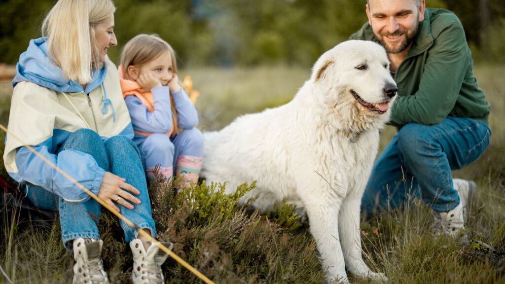 Family camping with large breed dog.