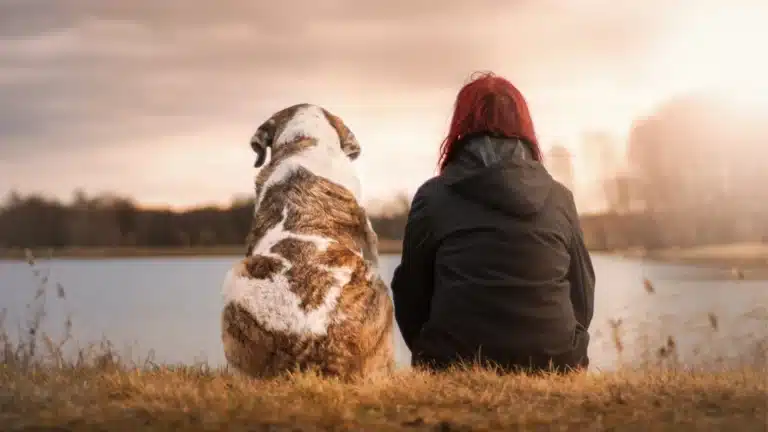 A person with red hair and a large dog sit side by side on the grass near a calm lake, gazing into the distance under a warm, golden sky.